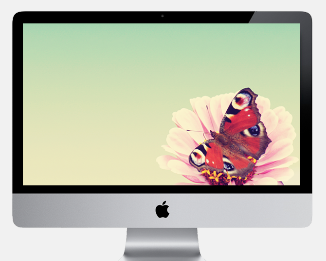 Freebie Desktop Schmetterling Wallpaper