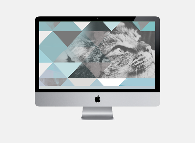 FREEBIE Desktop Katze Wallpaper