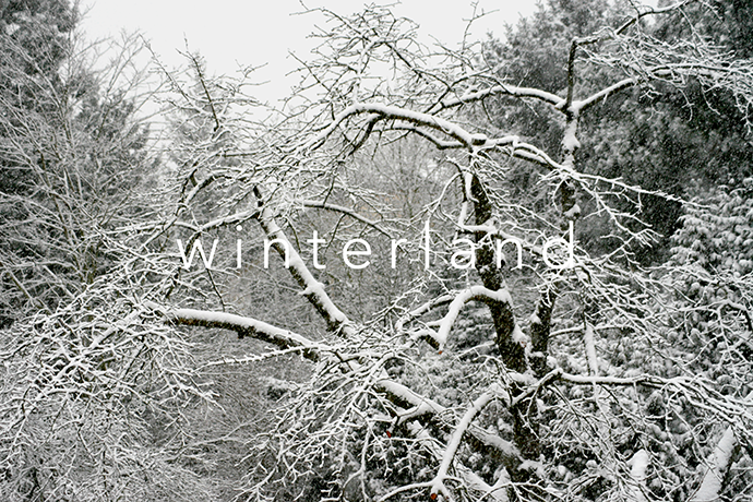 __winterland_cologne