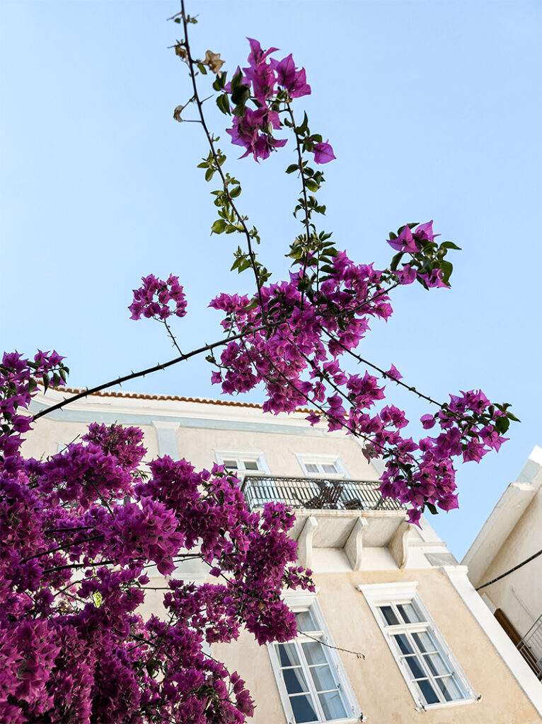 Hotel Omiros auf der Insel Syros